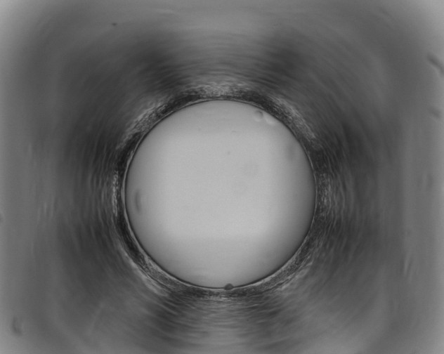 X0000098120590200804040826