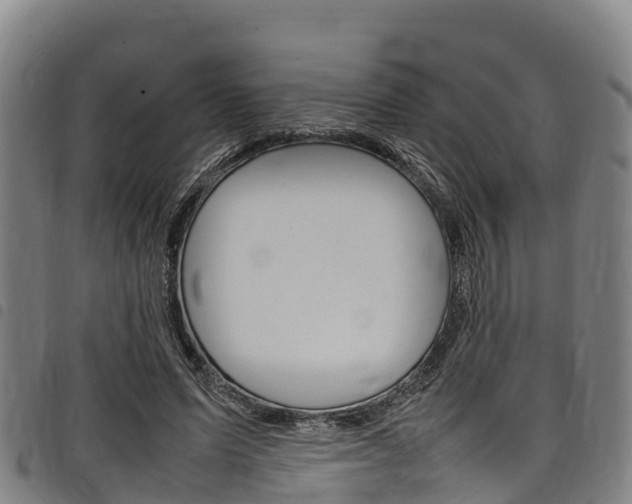 X0000098120591200804040826