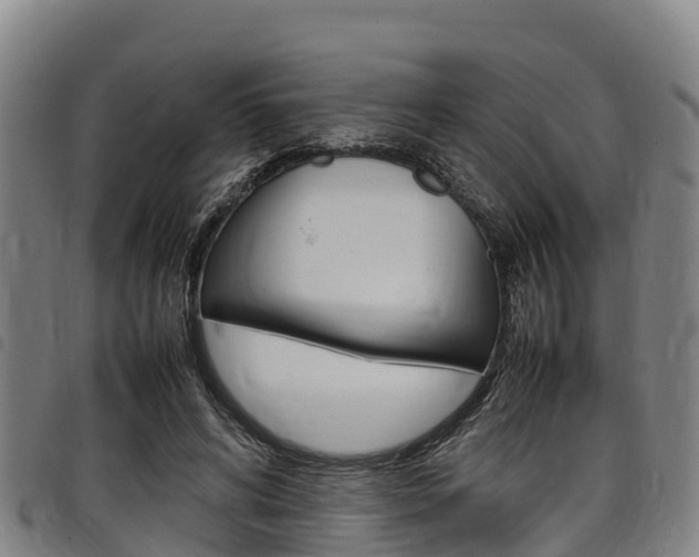 X0000098120592200804040826