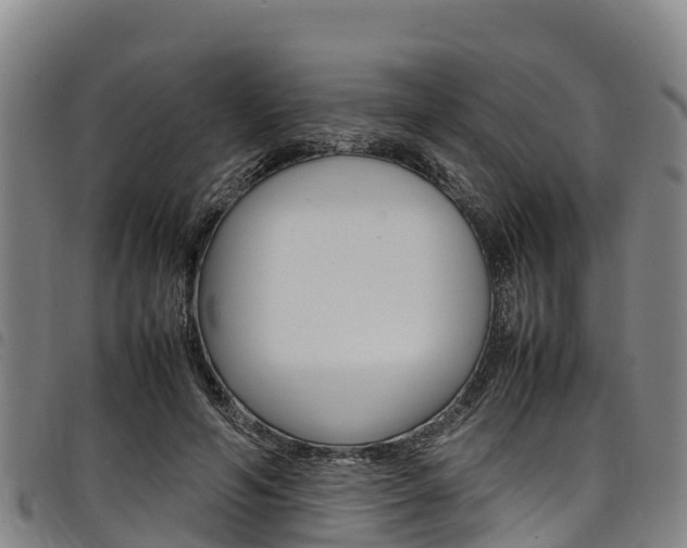 X0000098120594200804040825