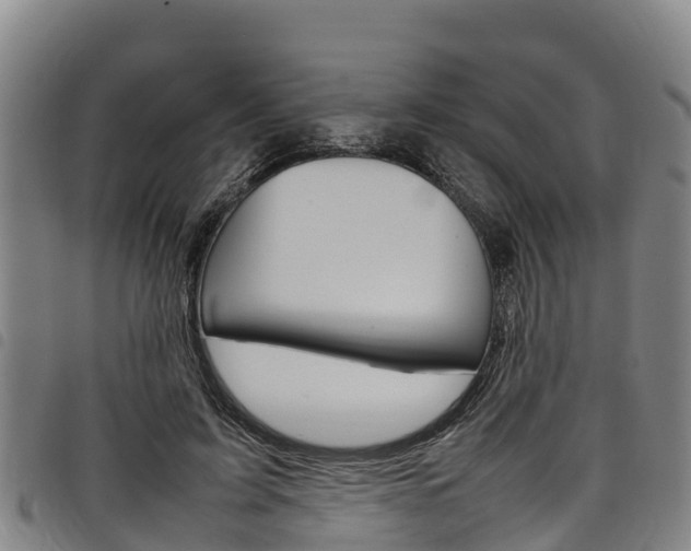 X0000098120595200804040825