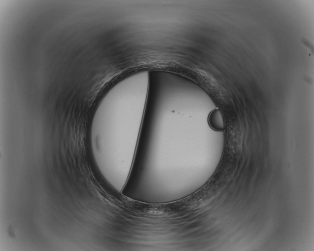X0000098120596200804040825