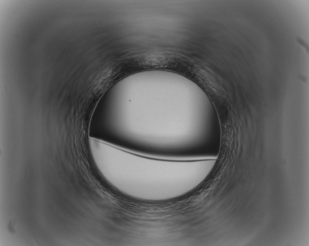 X0000098120597200804040825