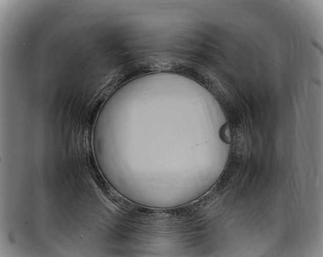 X0000098120598200804040825