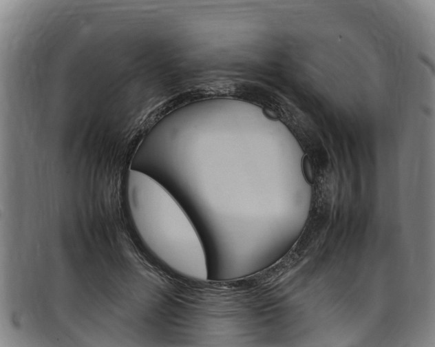X0000098120600200804040825