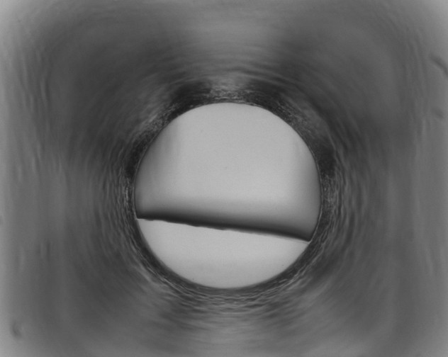 X0000098120603200804040825
