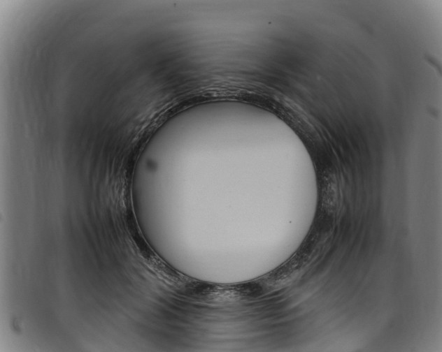 X0000098120604200804040825