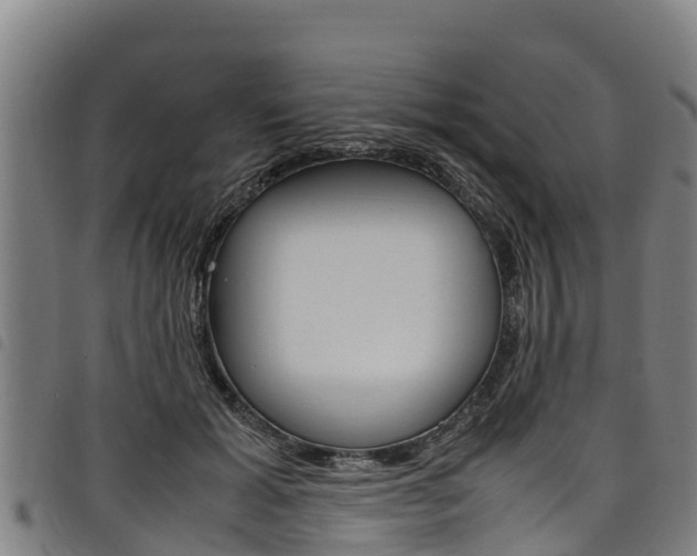 X0000098120605200804040825