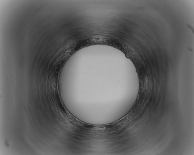 X0000098120606200804040825
