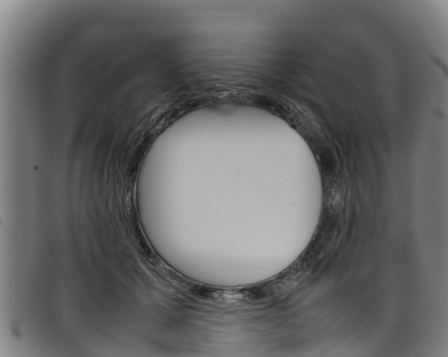 X0000098120607200804040825