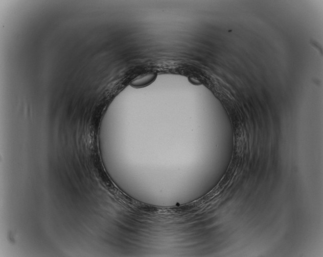 X0000098120608200804040825