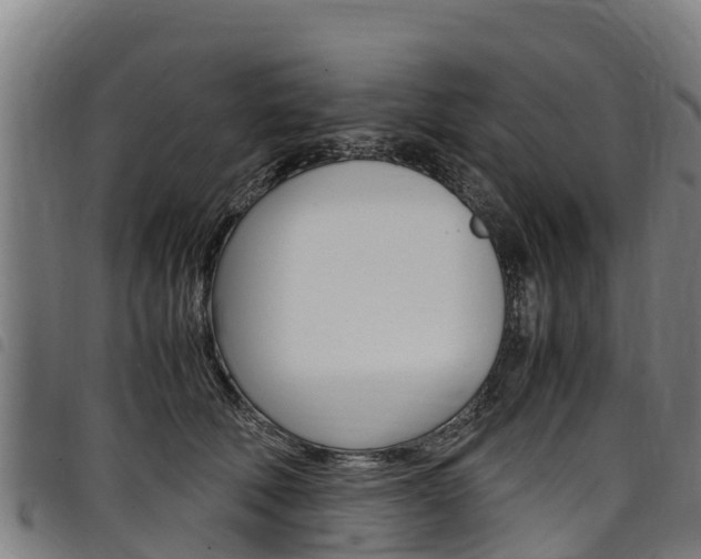 X0000098120610200804040825