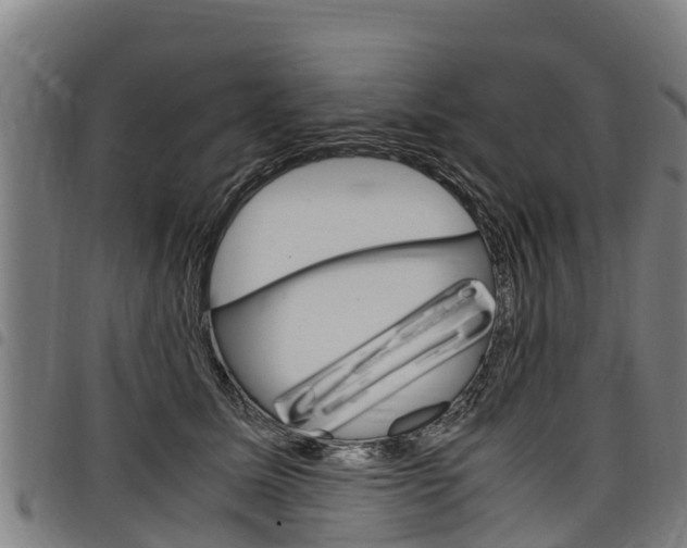 X0000098120611200804040825
