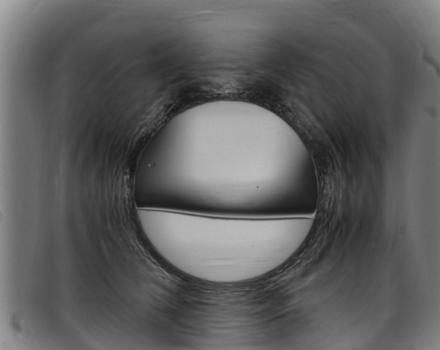 X0000098120612200804040825