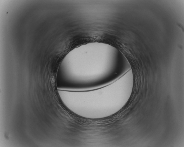 X0000098120613200804040825