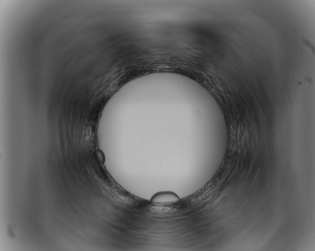 X0000098120614200804040825
