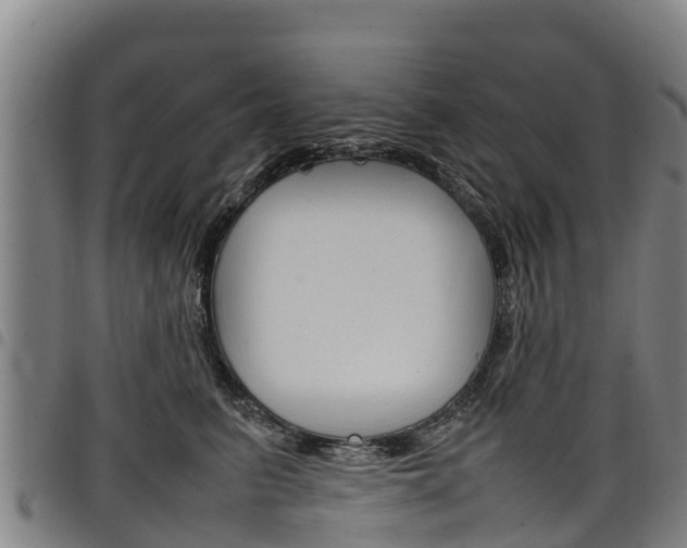 X0000098120615200804040825