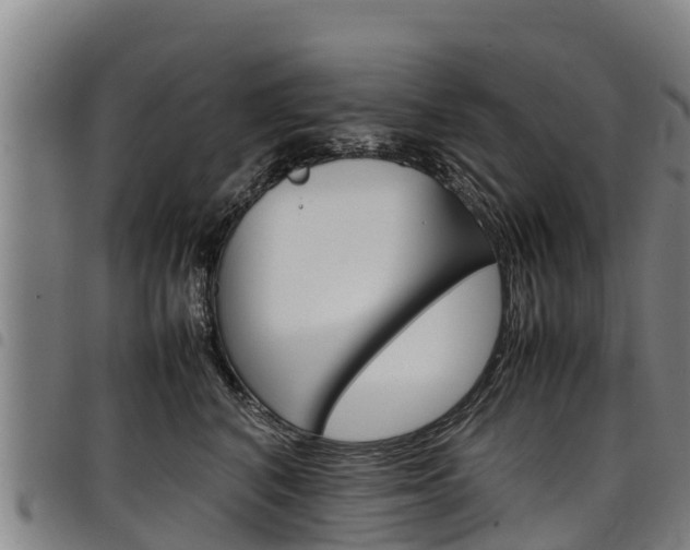 X0000098120616200804040825