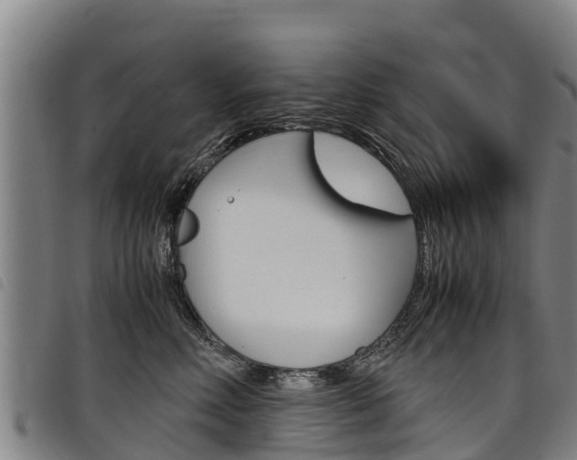X0000098120618200804040825