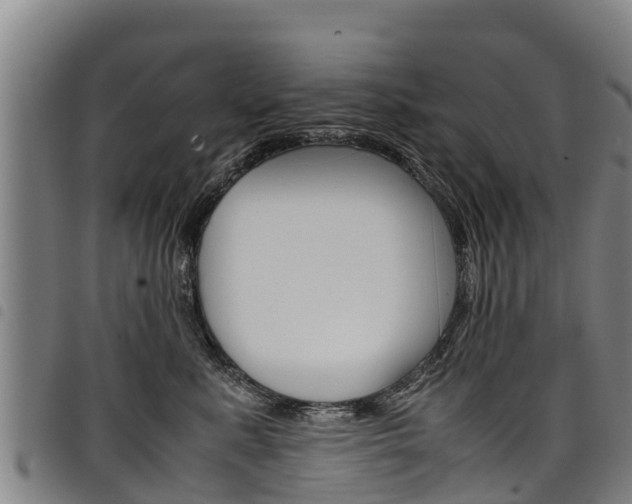 X0000098120619200804040825