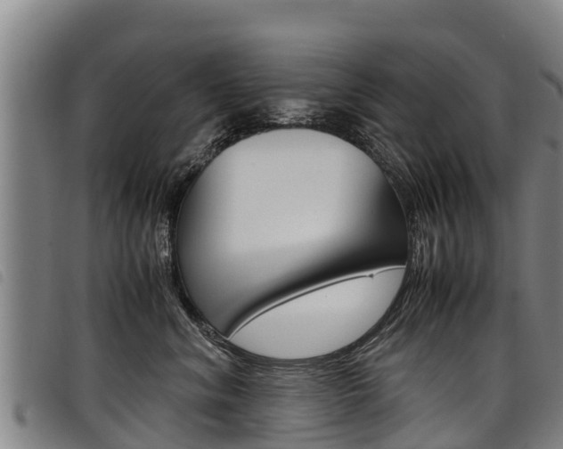 X0000098120620200804040825