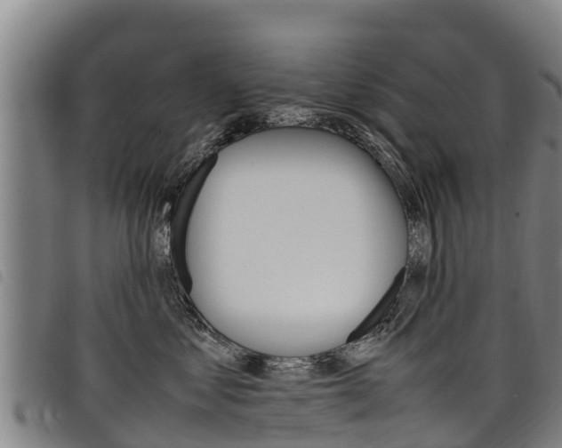 X0000098120621200804040825