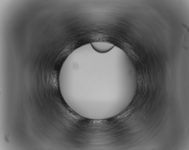 X0000098120622200804040825