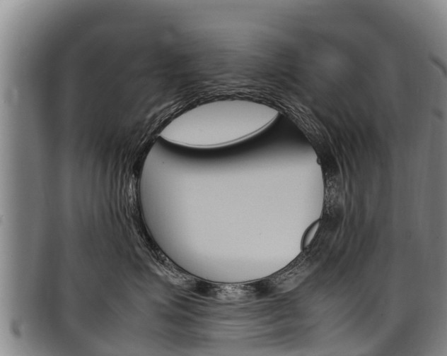 X0000098120623200804040825