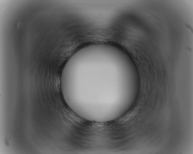 X0000098120624200804040825