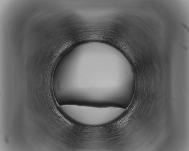 X0000098120625200804040824