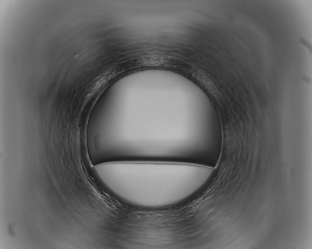 X0000098120626200804040824