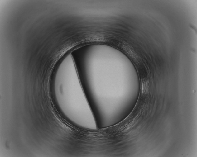 X0000098120627200804040824