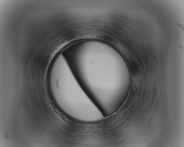 X0000098120628200804040824