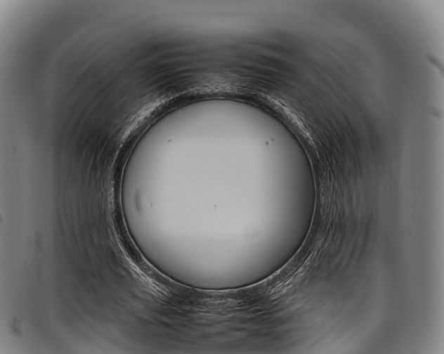 X0000098120629200804040824