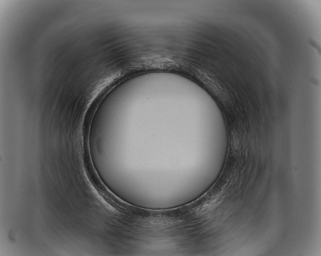 X0000098120630200804040824