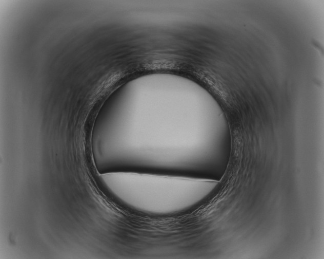 X0000098120631200804040825