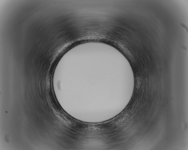 X0000098120632200804040825