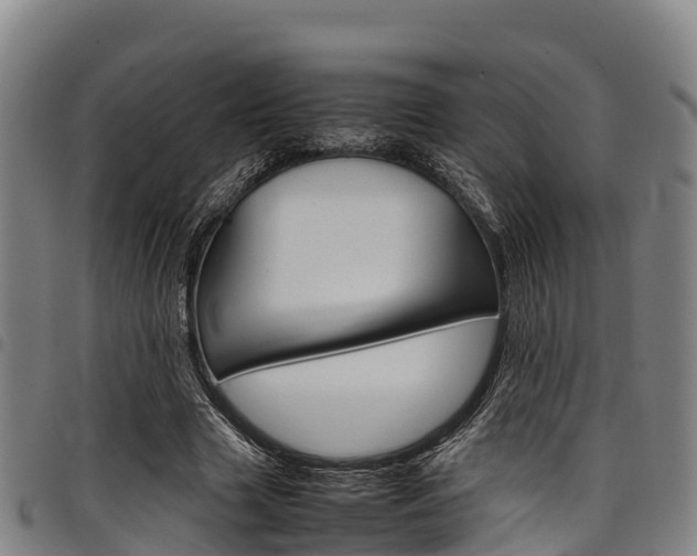X0000098120633200804040825