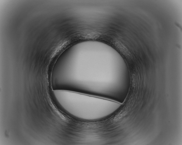 X0000098120634200804040825