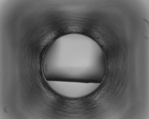 X0000098120635200804040825