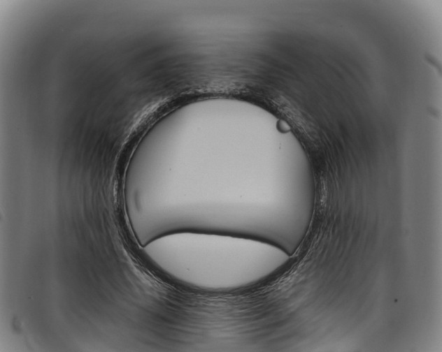 X0000098120636200804040825
