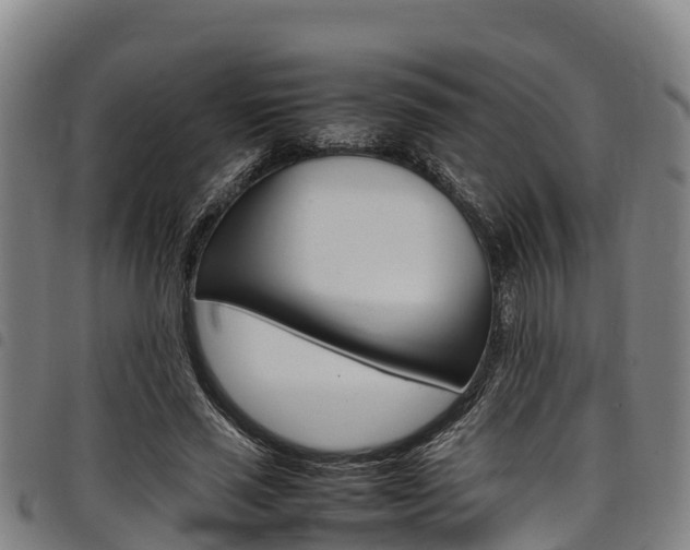 X0000098120637200804040825