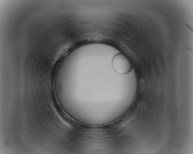 X0000098120638200804040825