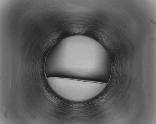 X0000098120639200804040825