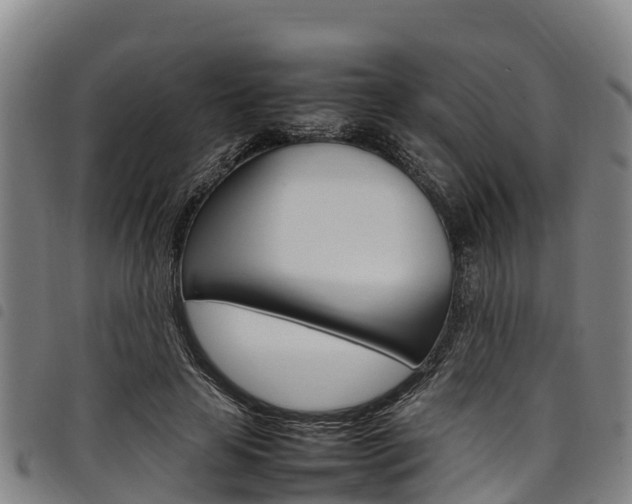 X0000098120641200804040825