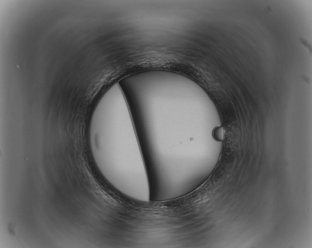 X0000098120642200804040825