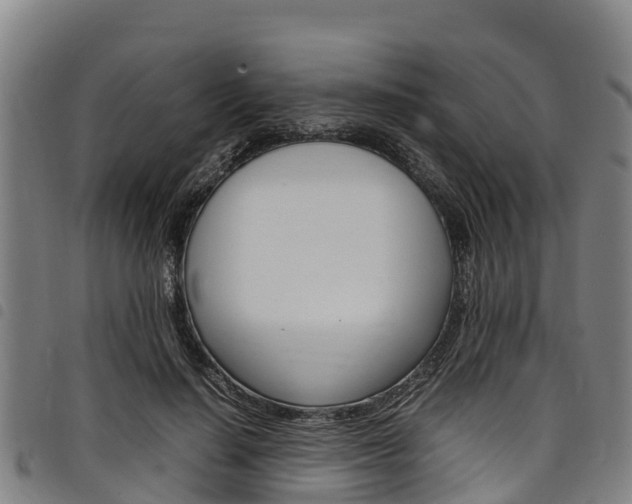 X0000098120644200804040825