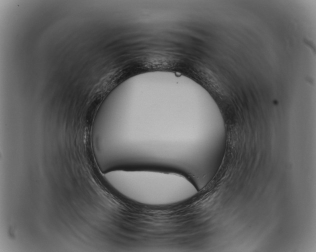 X0000098120645200804040825