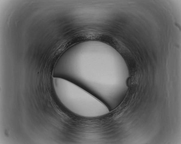 X0000098120646200804040825