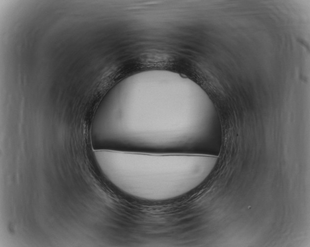 X0000098120647200804040825